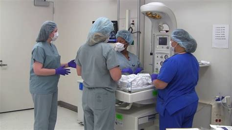 Neonatal Resuscitation Program Nrp Wds To Ppv Neonatal Newborn