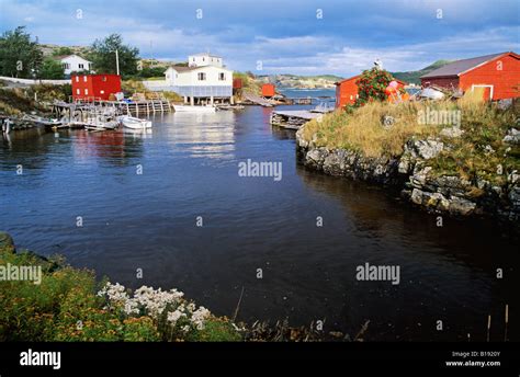 Fishing Village Of Salvage Newfoundland Newfoundland And Labrador