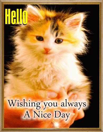 Cute Kitty Says Hello Free Hi Hello Ecards Greeting Cards 123 Greetings