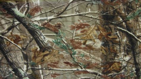 Mossy Oak Wallpaper 61 Images