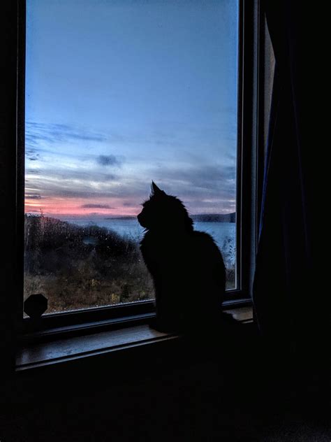 Your oasis – Savage journey