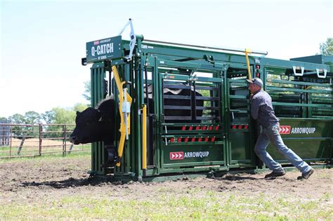 Arrowquip Cattle Handling Equipment Premier Ag Inc