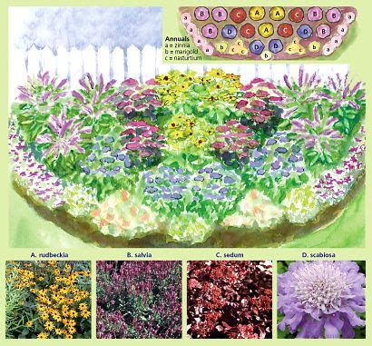 Perennial Border Flowers | Sunny Perennial Border, 17 Plants Buy Now | Perennial garden plans ...