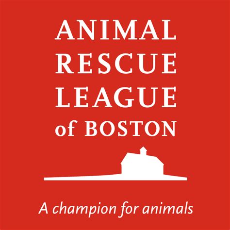 Animal Rescue League Of Boston Dedham Animal Care And Adoption