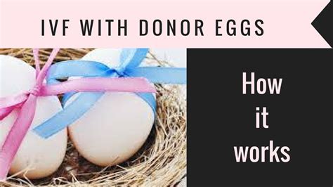 Ivf With Donor Eggs How It Works Choosing An Egg Donor Youtube