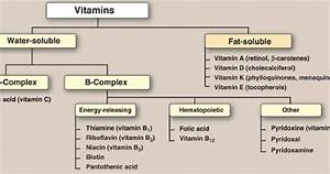Vitamins Functions Types Characteristics Chemical Name
