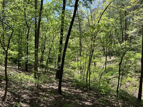 Sold 443 Acre Wooded Lot Fairmount Gordon County George F Willis