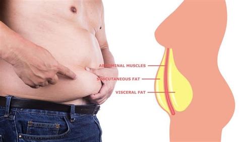 Maybe you would like to learn more about one of these? How to lose visceral fat: A nutritionist's tips for shedding the harmful belly fat | Express.co.uk