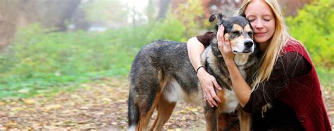 Can Dogs Understand Hugs Wag