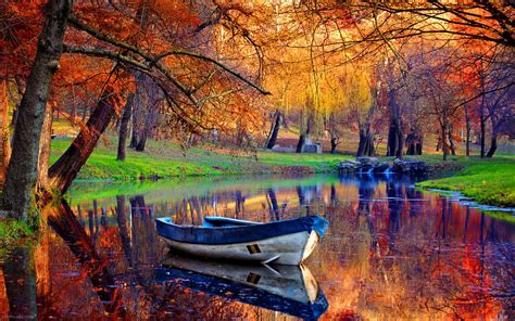 منظره زیبای قایق در جنگل پاییزی گالری عکس و تصویر
