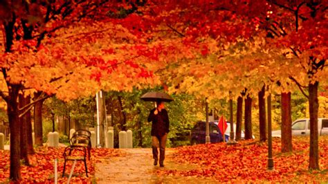 📸 seguimos recordando # buenosmomentos de la 🍁 🍂 feria de otoño 🍁 🍂. Test: Curiosidades sobre el otoño: ¿eres un experto en ...