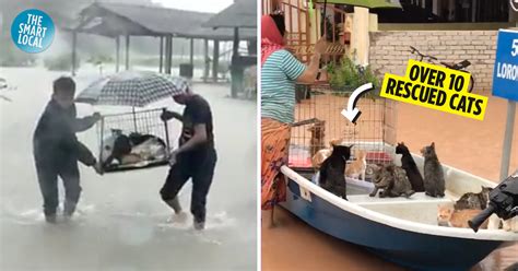 Msians Rescue Cats From Floods In Johor And Pahang