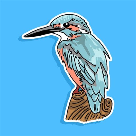 Diseño De Dibujos Animados De Aves Vector Premium