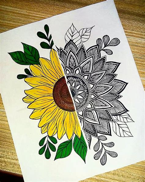 Sunflower Mandala Art Drawing
