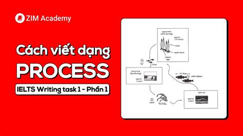 Cách Viết Process Ielts Writing Task 1 Phần 1 Natural Process Anh