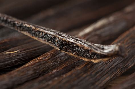 Real Vanilla Isnt Plain It Depends On Dare We Say It Terroir Kqed