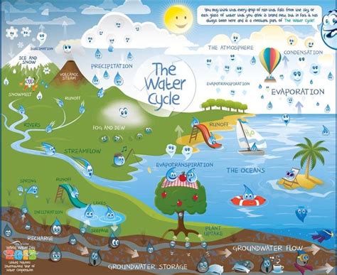 Water Cycle Different Stages Of The Water Cycle And Explanation