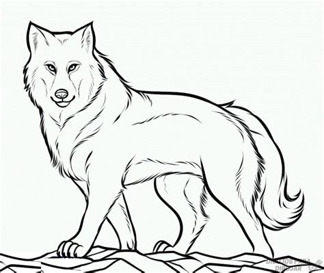 磊 Dibujos De Lobos【190】para Dibujar