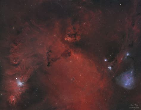 The Cone Nebula Wide Field Astrocat