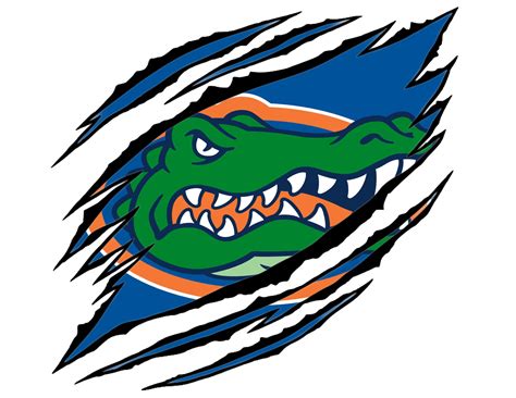 Florida Gators Ripped Png  Logo Etsy