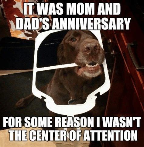 These anniversary memes, anniversary quotes and funny memes for your life partners. FUNNY ANNIVERSARY MEMES, GIF'S AND IMAGES
