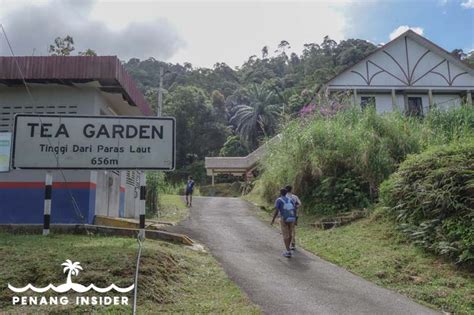 Go towards the direction of taiping lake garden and you are almost at the foot hill. Bukit Larut (Maxwell Hill) Ultimate Guide: Discover ...