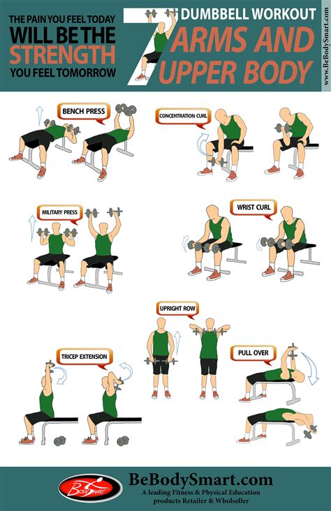 DUMBBELL Workout ARMS And Upper Body Dumbbell Arm Workout Arms Workout Plan Dumbell