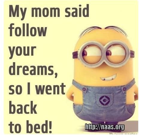 Mom Said Follow Your Dreams Funny Minion Quotes Minions Funny