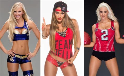 In Pictures Check Out Hottest Wwe Divas