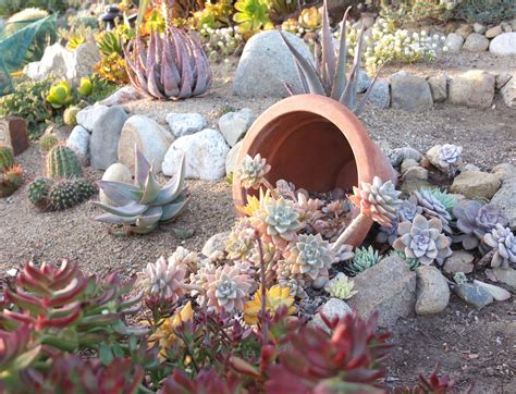 Stunning Succulent Garden Ideas For An Easy Outdoor Oasis Decorizer