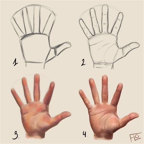 drawing a hand step by step made in photoshop using a wacom drawing tablet you can find the