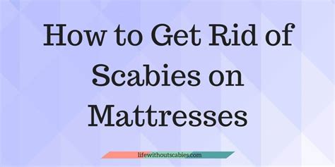 10 Tips On How To Clean For Scabies