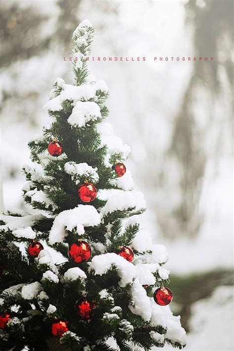 Aesthetically Pleasing | Christmas tree decorations, Christmas
