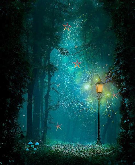 Magical Forest The Enchanted Little Cove Pinterest