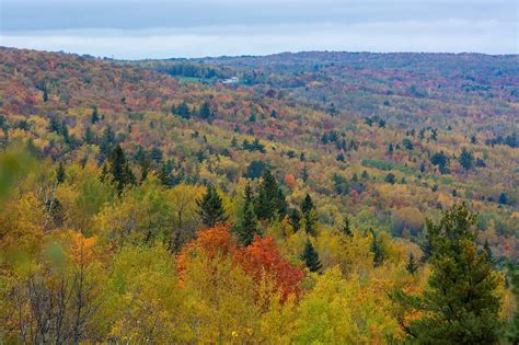 Dnr Suggests These Scenic Drives For Fall Colors In Northern Mn