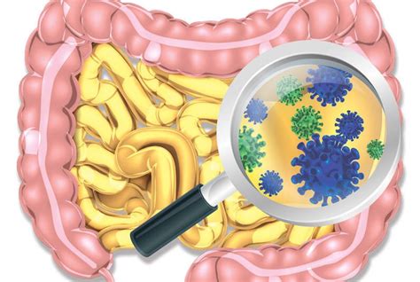 5 Key Things We Should Know About The Gut Microbiome Genetic Literacy