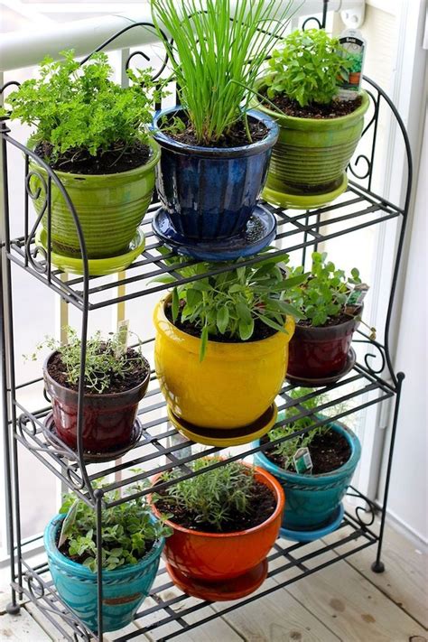 10 Containers Herbs Garden Ideas Apartment Herb Gardens Indoor Herb