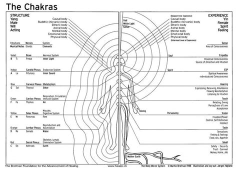 Metaphysical Diagrams Secret Energy Secret Energy Etheric Body Chakra