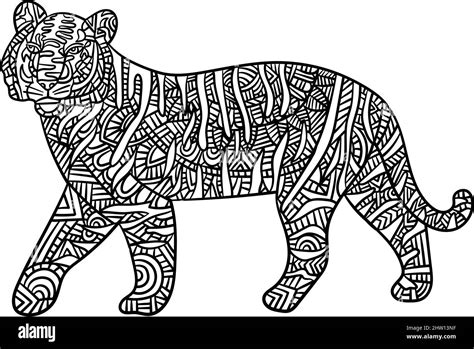 Tiger Mandala Malvorlagen für Erwachsene Stock Vektorgrafik Alamy
