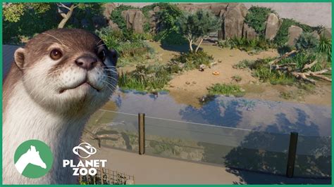 Asian Small Clawed Otter Habitat Elm Hill City Zoo Planet Zoo Youtube