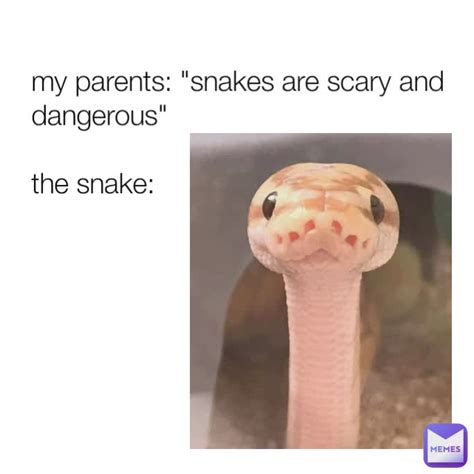 My Parents Snakes Are Scary And Dangerous The Snake