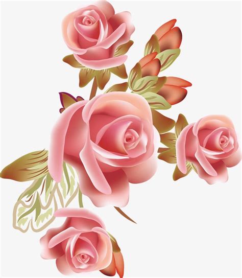Browse our arvores com flores rosa images, graphics, and designs from +79.322 free vectors graphics. Rose Vector Png at GetDrawings | Free download