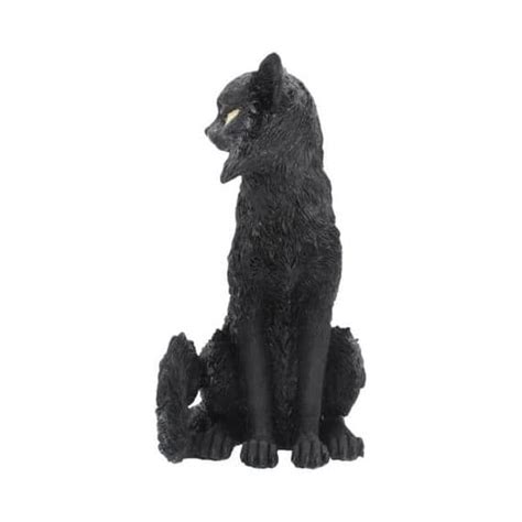 Salem Black Cat Witch Ornament Magic Shops In Thanet Kent Nemesis Now