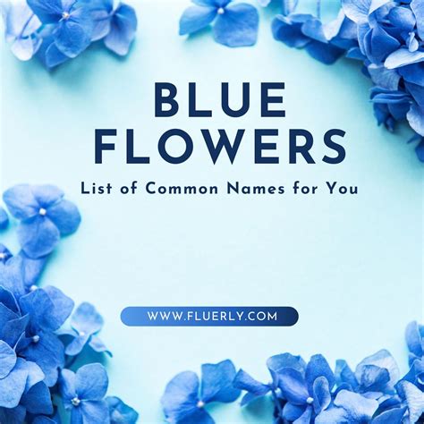 Blue Flowers List Of Common Names For You And Your Garden