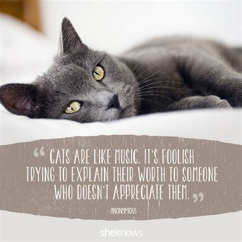 Pin By Deirdre Price On Quotes About Cats Cat Quotes Cute Cat Quotes