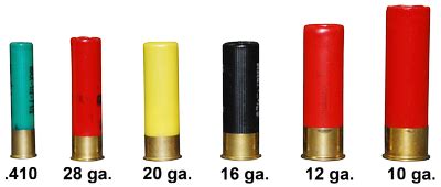 B Types Of Shotgun Shells Fasrbrick