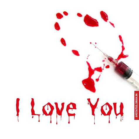 How Much I Love You Images Hd Download Free Images Srkh