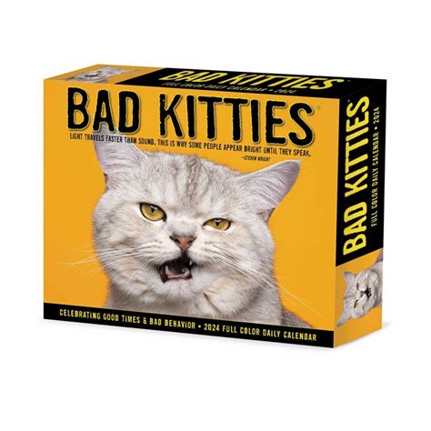 Bad Kitties Desk Calendar 2024 Calendars Store