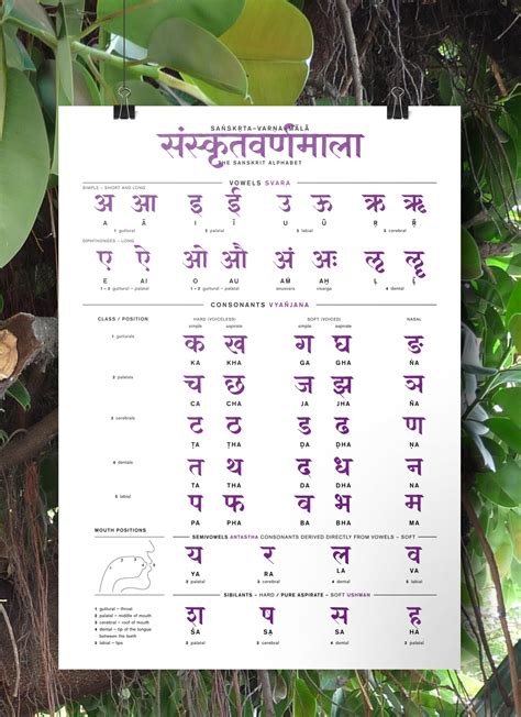 Sanskrit Alphabet Artofit