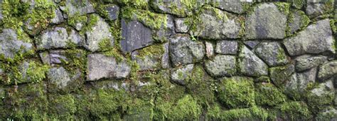 Texturex Large High Def Stone Wall Moss Growth Texture Texture X